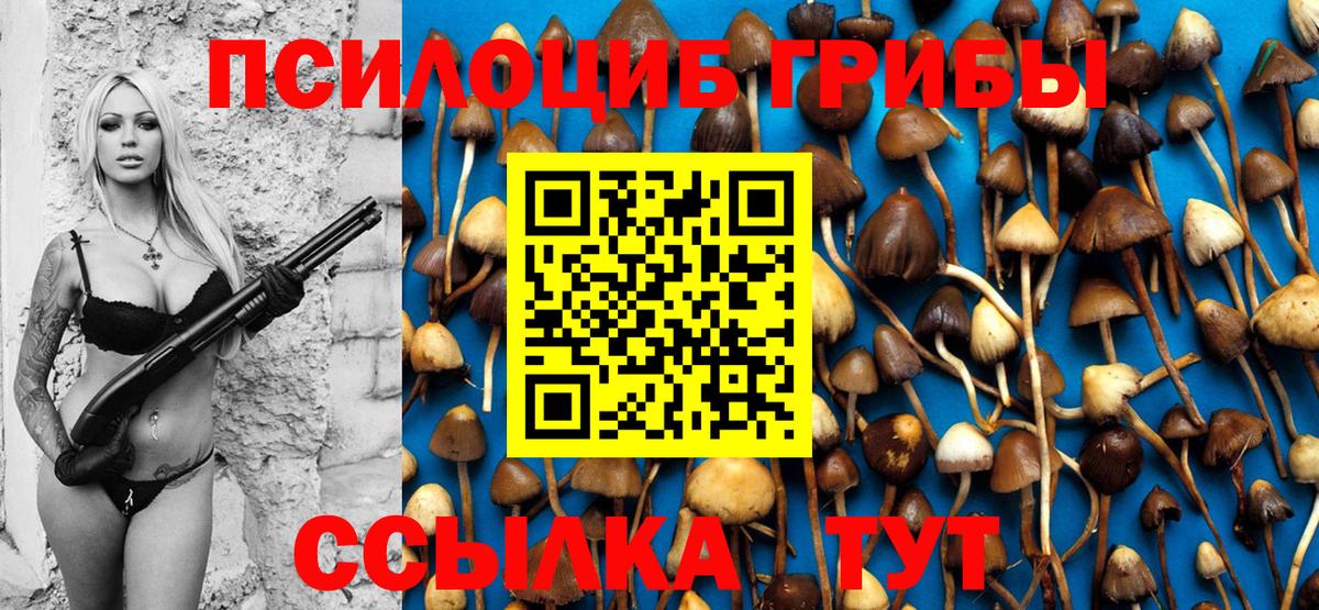Галлюциногенные грибы Psilocybe Серов