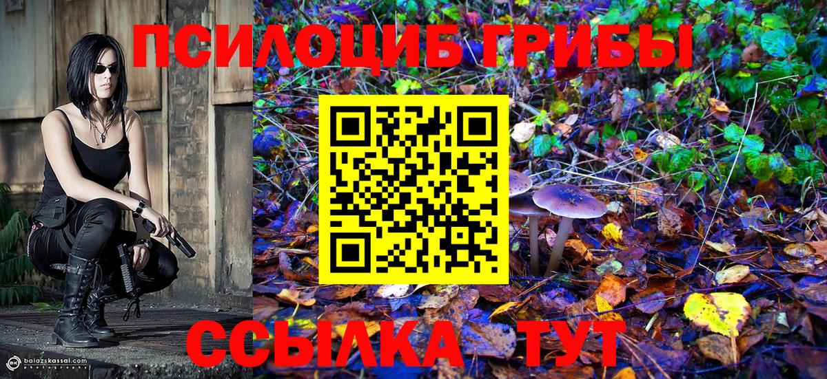 Псилоцибиновые грибы GOLDEN TEACHER  Псилоцибиновые грибы Cubensis  Серов  Вход с VPN 